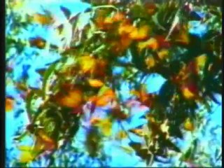 Harun Yahya TV - What we have learnt from animals