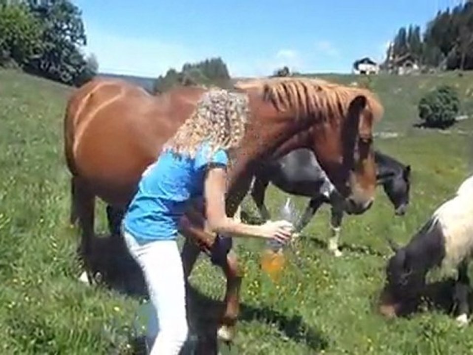 Luna boulot ancien