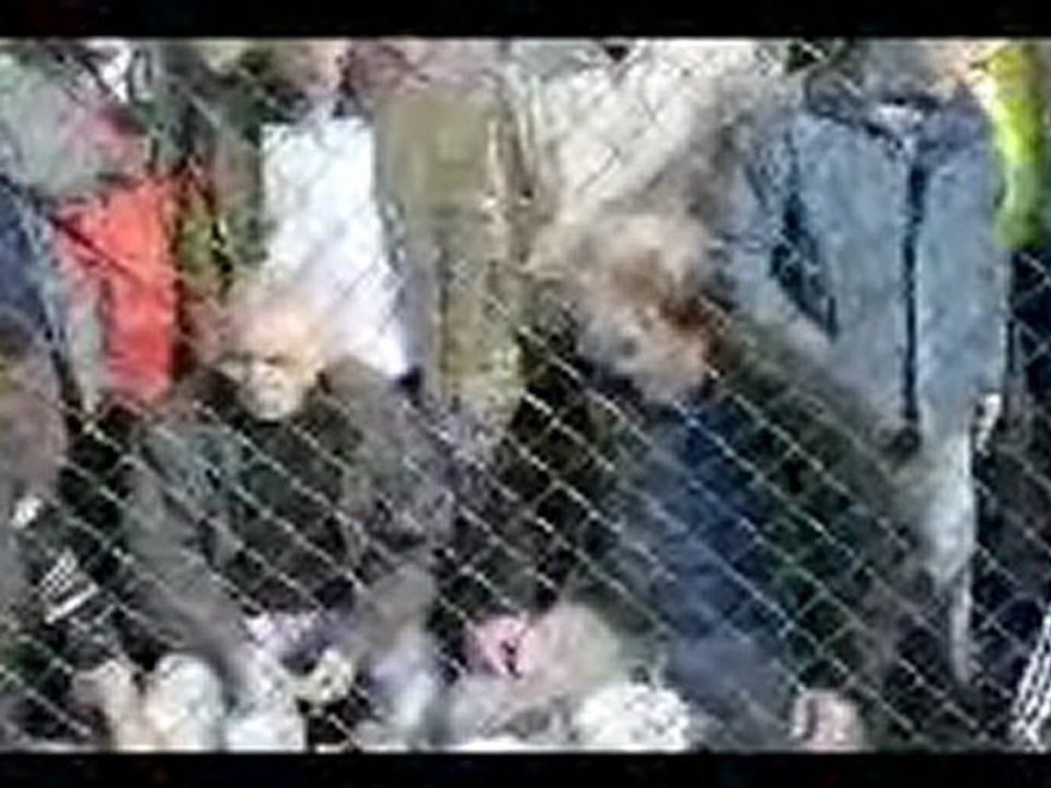 BİGASPOR MAÇI SAHA DIŞINDAN GÖRÜNTÜLER
