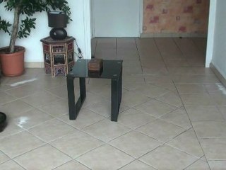 Test du robot aspirateur Eziclean Revolution