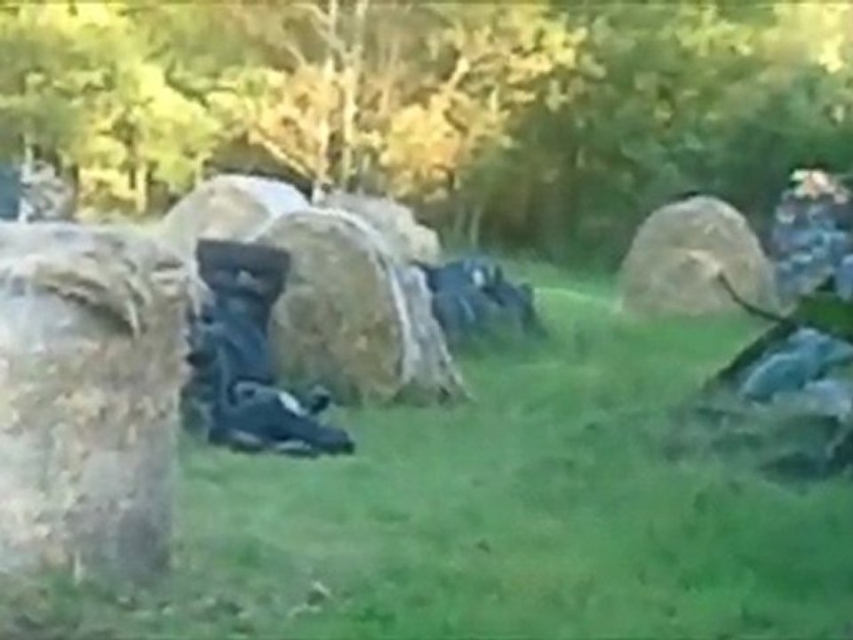 seven element's    paintball's steven