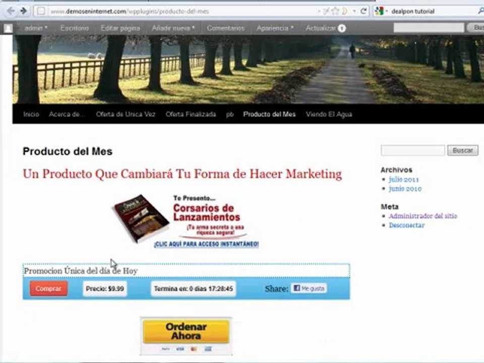 como usar el pluguing cupones de wordpress
