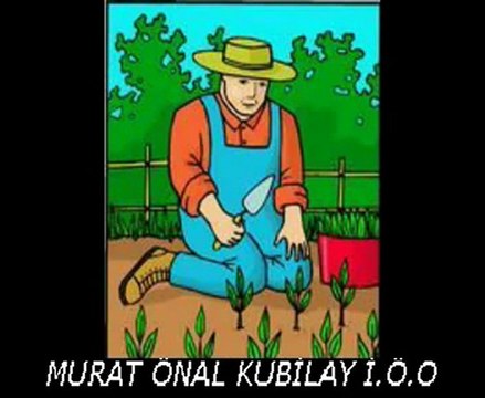 Ali Babanın Çiftliği Şarkısı, Ali Babanın bir Çiftliği var dinle