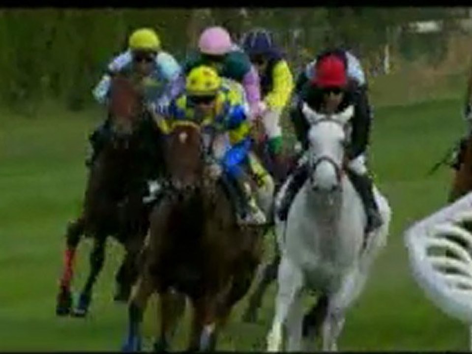 2011.10.23, nº 486 LZ (VI Aniversario Reapertura LZ Hand) La LLanura