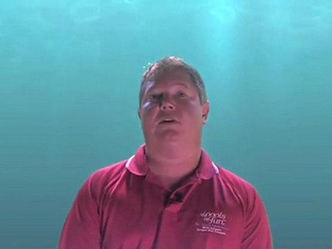 Cleaning Videos from Inground Pools Indianapolis