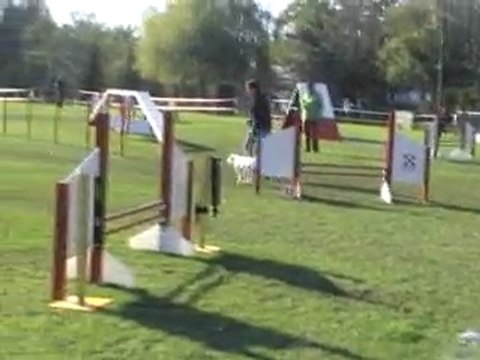 23 10 2011 Agility Montigny - Donnie - 1er degré
