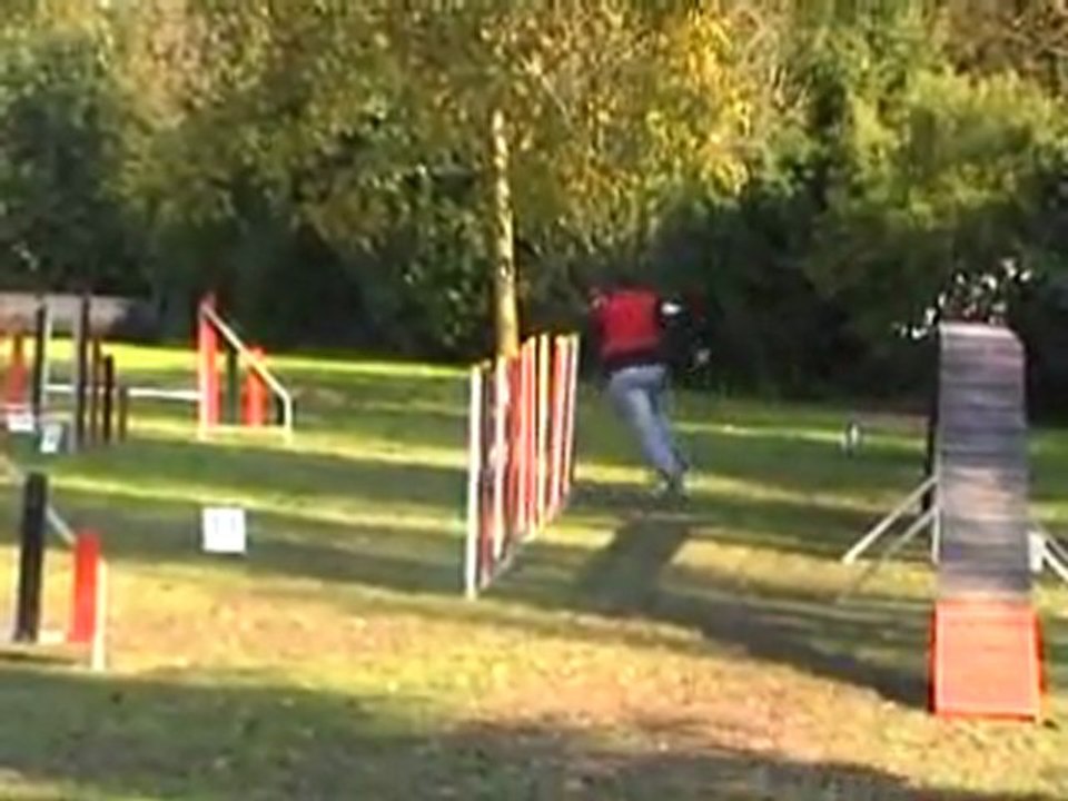 23 10 2011 Agility Montigny - Vodka - GPF