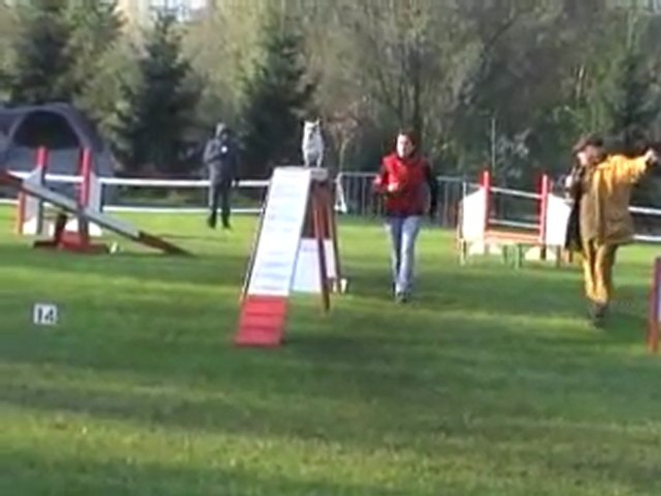 23 10 2011 Agility Montigny - Vodka - Open