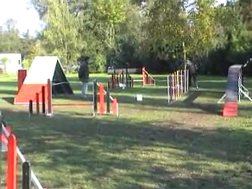 23 10 2011 Agility Montigny - Sabine et Caly - GPF