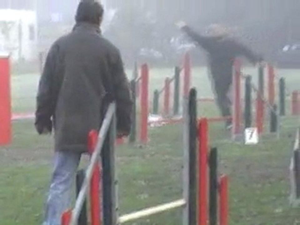 23 10 2011 Agility Montigny - Sabine et Caly - Jumping