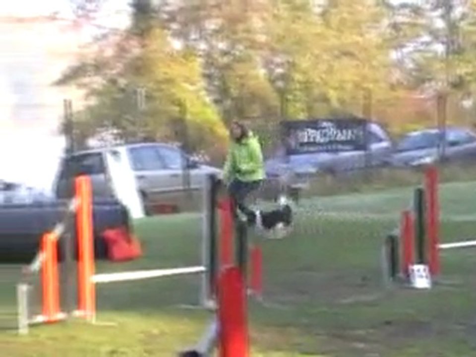 23 10 2011 - Agility Montigny - Laîka - Jumping