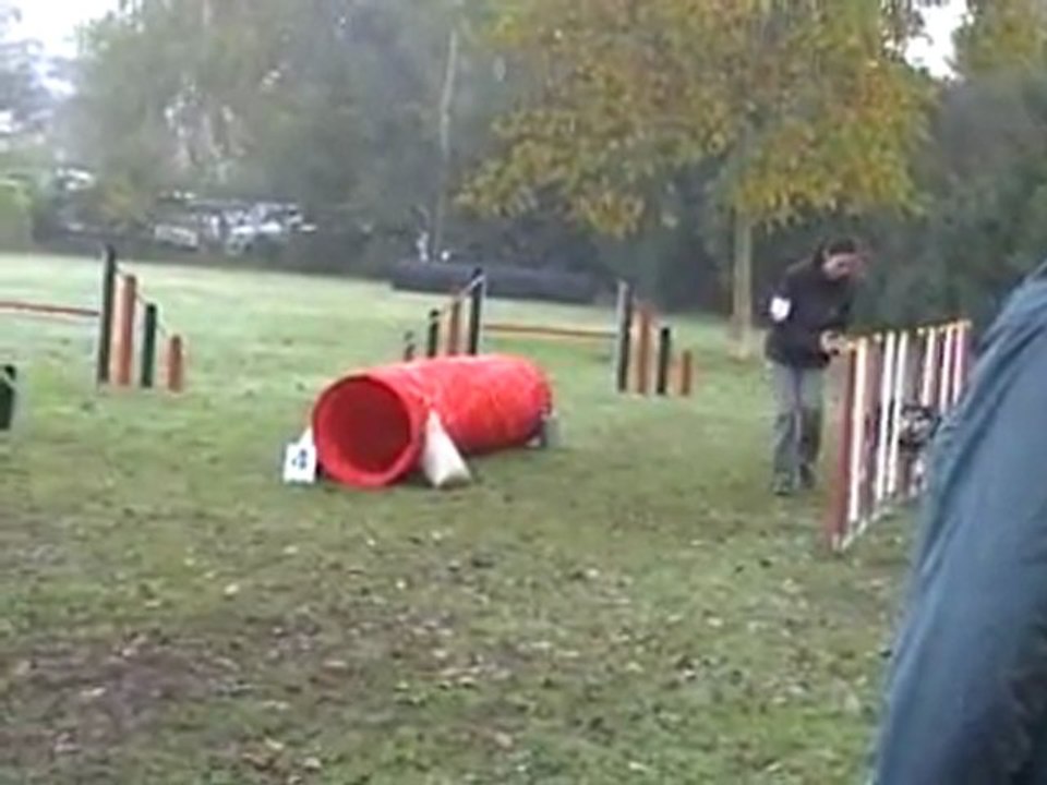 23 10 2011 Agility Montigny - Charly - Jumping