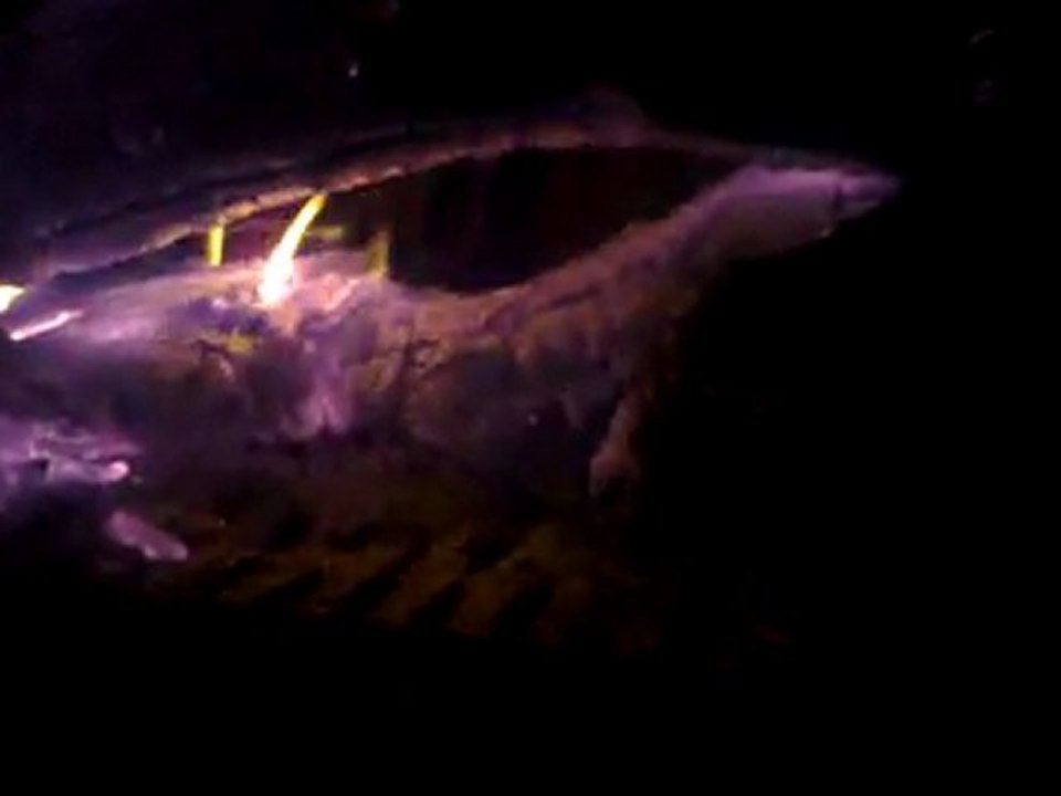 Feu de cheminée - By the fireplace