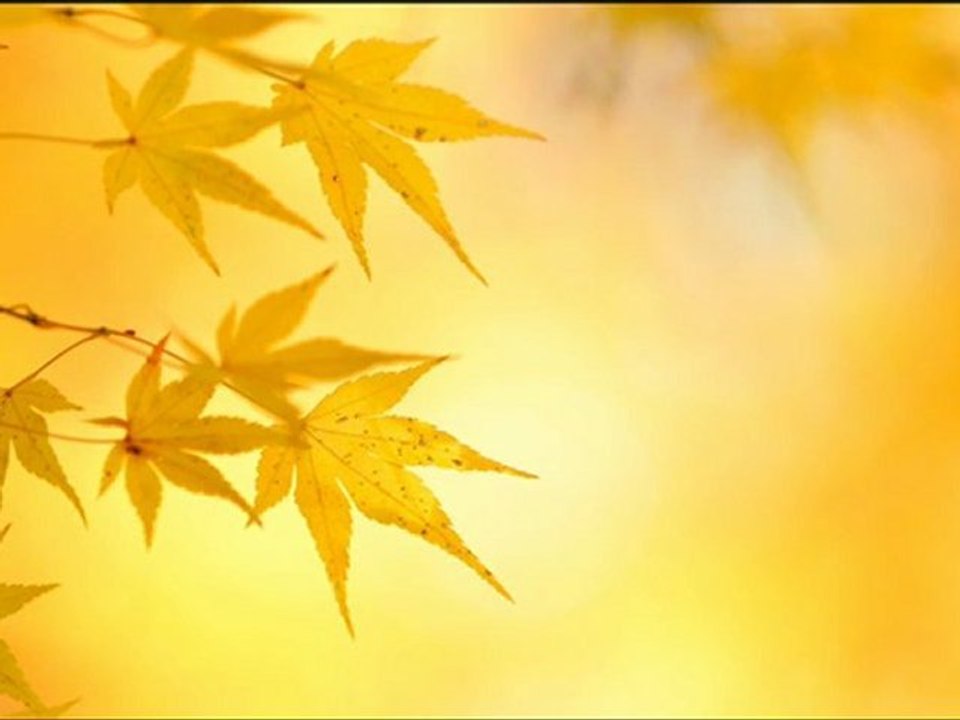 河野 伸 (Shin Ono)