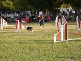 Cruz - Jumping+ Miramas 16.10.11