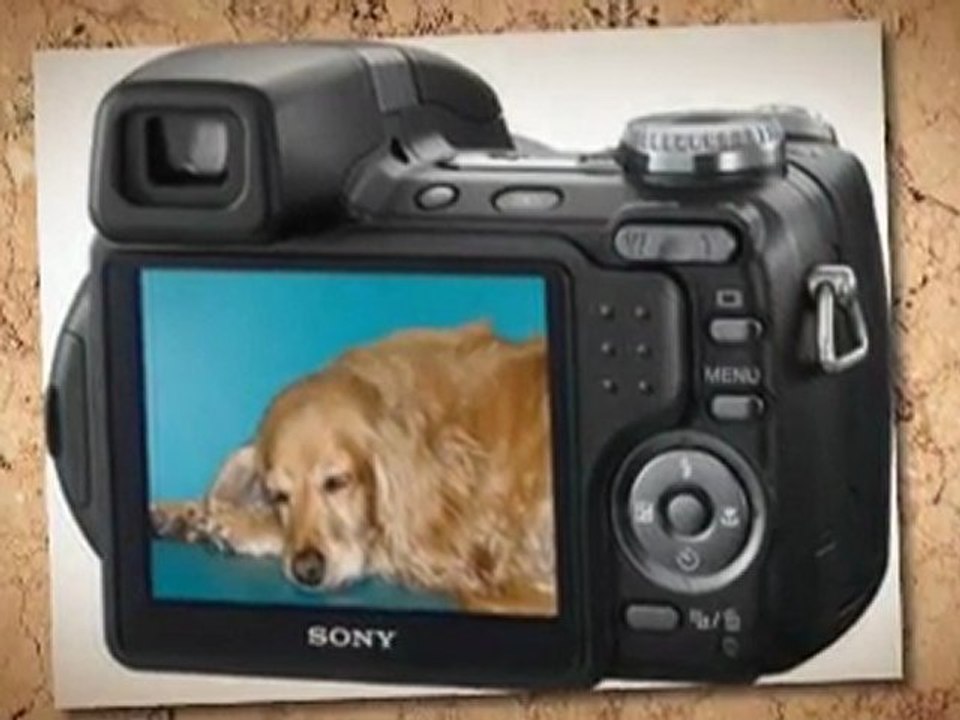 Sony Cybershot DSC-H5 7.2MP Digital Camera with 12x ...