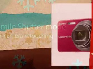 Sony Cybershot DSCW170B 10.1MP Digital Camera with 5x ...