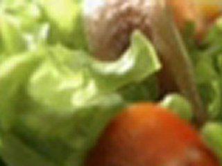 Type 2 Diabetes Diet – A Revolutionary Method