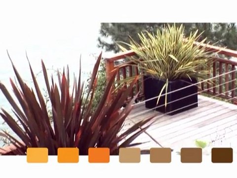 CHRONIQUE VIVONS BOIS