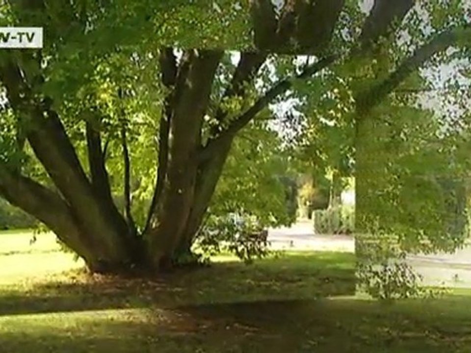 Brilliant Minds: Roberto Rinaldi of Brazil | Tomorrow Today