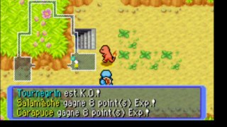 Pokémon Donjon Mystère EdS Rouge 2) Le Petit Bois