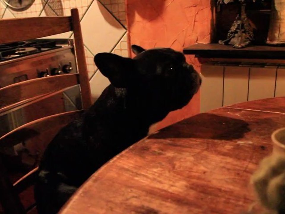 les tremolos de gilda 23-10-2011