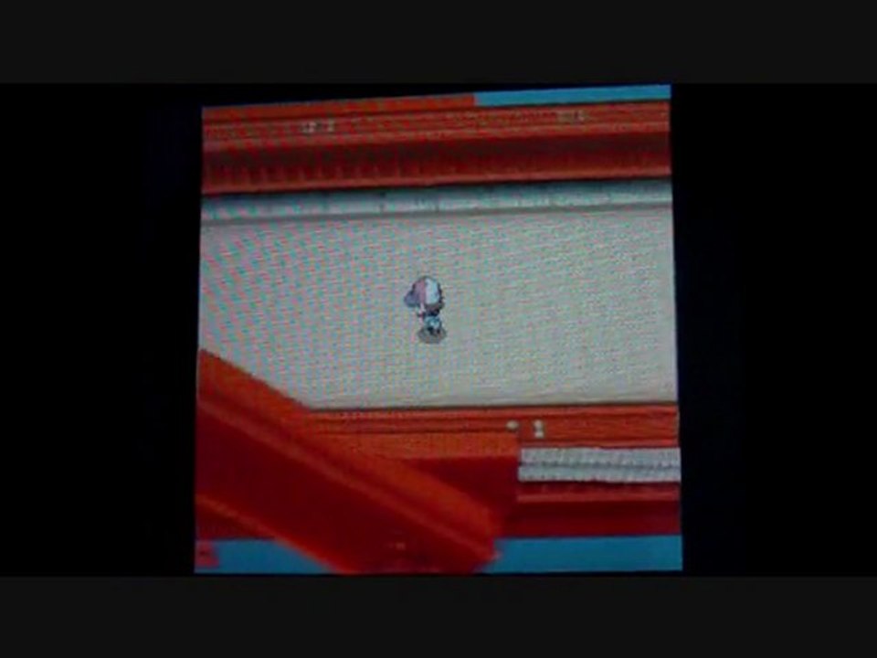 W.T Pokemon Blanc / 18 : Canard and Cow-Boy