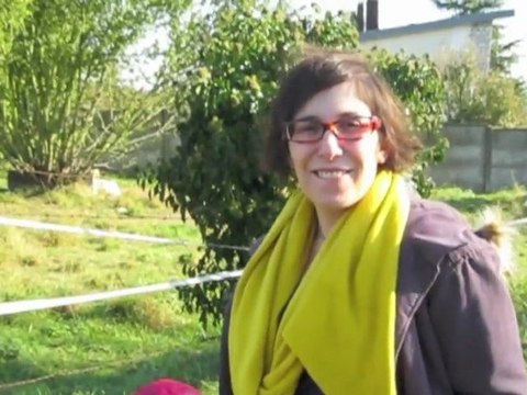 1110 marseillaises viking