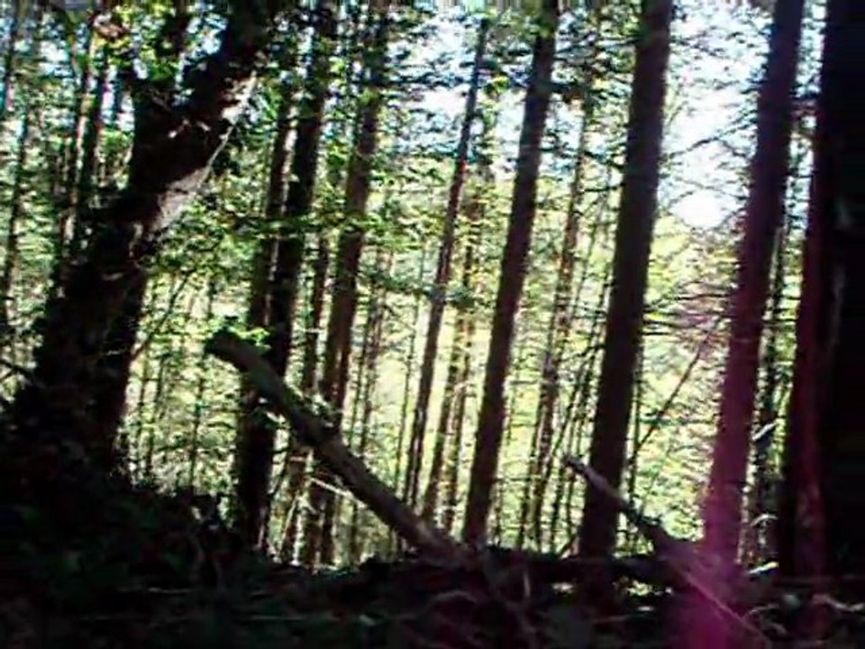 airsoft octobre 2011 reconstitution