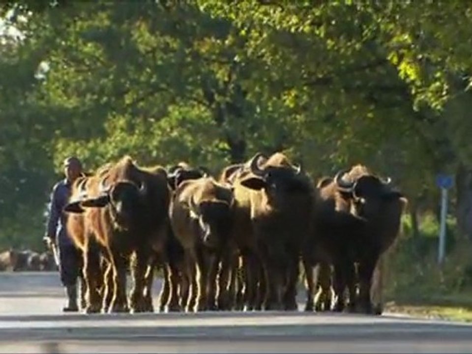 Docu_Arte_Cuisines des terroirs - La Géorgie_Mar 11 oct 2011