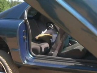 FIREBIRD WITH LIFT KIT