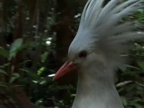 Yaratılış gerçekleri (Harun Yahya)