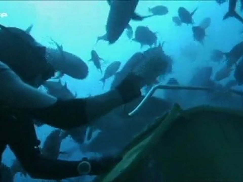 Docu_Arte_Pacifique sud, un paradis fragile_Ven 31 déc 2010