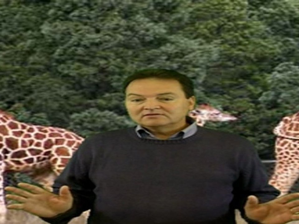 Randy Jeffers - Baby Giraffe Gets Kicked by Mother