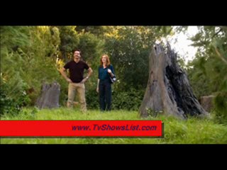 Desperate Housewives Season 8 Episode 5 (The Art of Making Art)