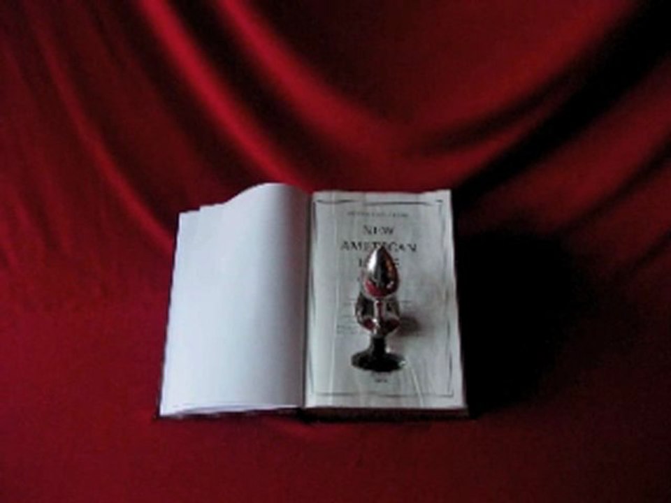 Holy Bible ou the last ButtPlug