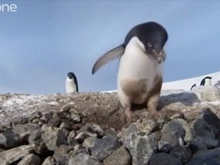 pas vu pas pris ... quoique)))