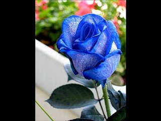 ETKİN UNUTMAK ISTEMEDİM