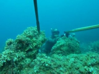 la chasse sous-marine