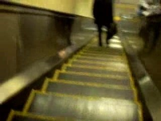 in coming to Tokyo shibuya