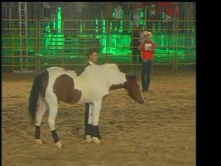 Rodeio em Casimiro de Abreu - parte4/4