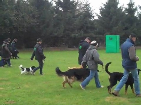 Un entraînement au centre d'éducation canine des Vertes Vallées