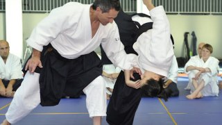 Michel Erb Aikido & Kenjtsu Rosheim oct 2011