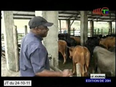Visite de la ferme bovine de Narcisse Moungounda par le ministre Maboundou