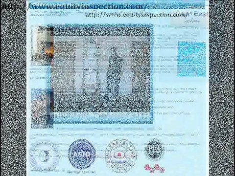 Hire best Palos Verdes Certified Home Inspector available online