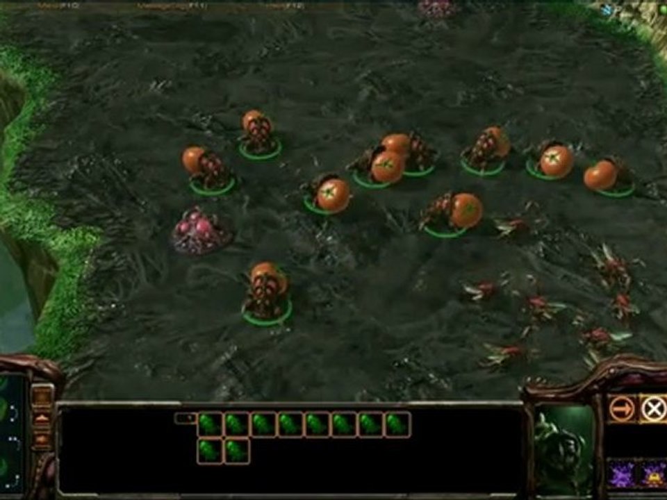 Éditeur Starcraft HotS : Tomatolings