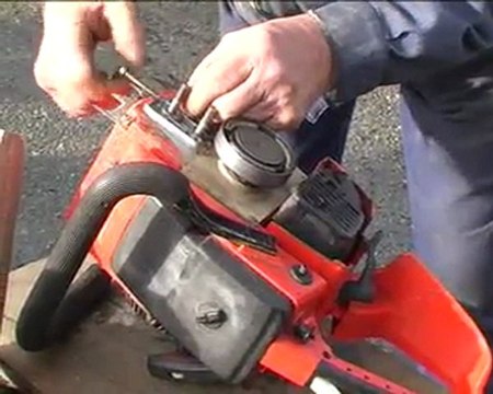 telethon32 Sciage du bois Pavie