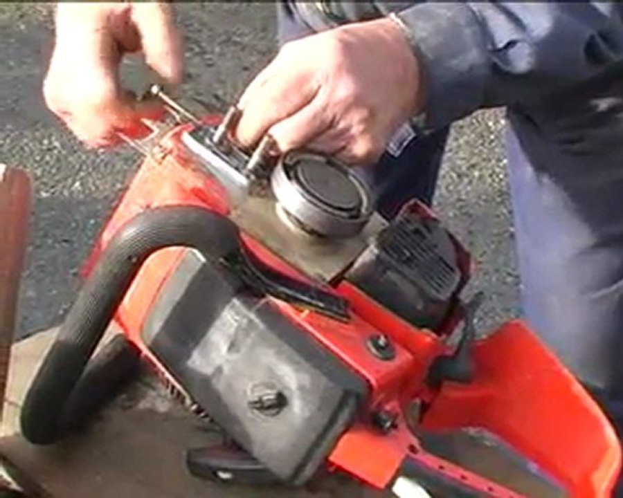 telethon32 Sciage du bois Pavie