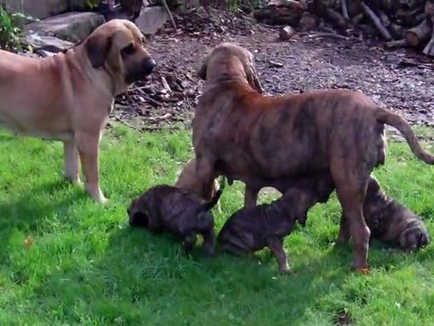 Mahoma & Carmen nos bébés Mexicains