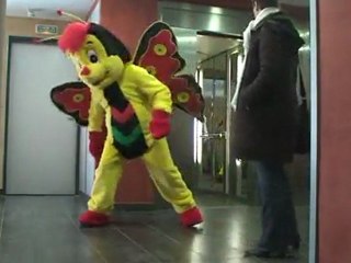 Butterfly - (Rémi GAILLARD)